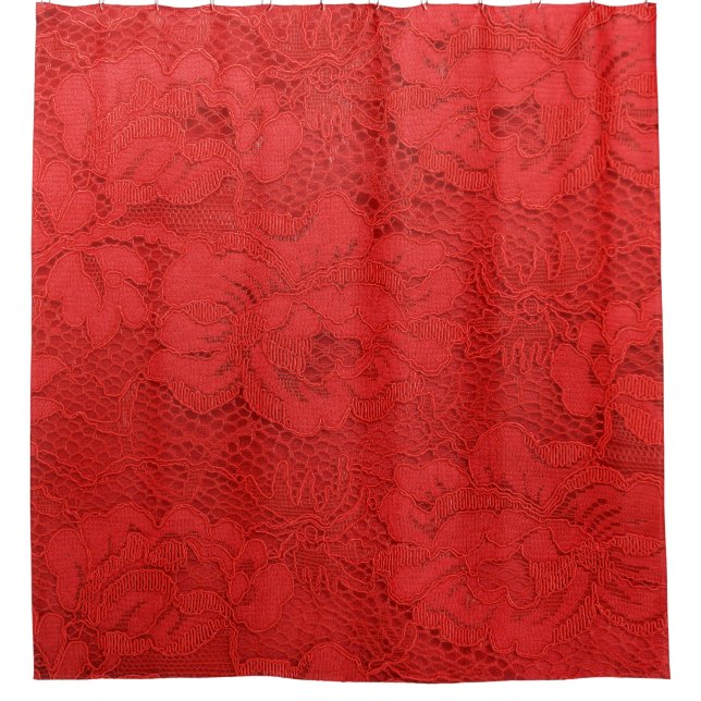 Elegant red lace, seamless texture (Front)