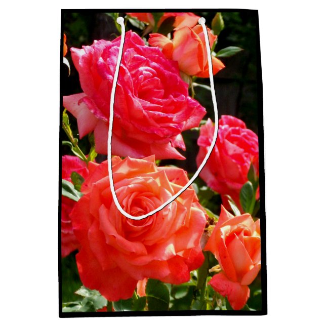 Elegant red orange coral roses rose garden medium gift bag (Front)