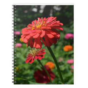 Elegant red orange floral flower garden  notebook