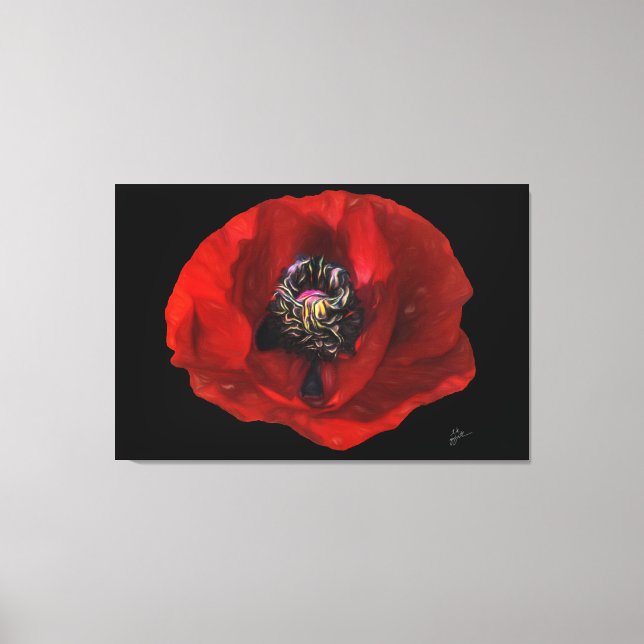 Elegant Red Poppy Flower on Black Background Canvas Print (Front)
