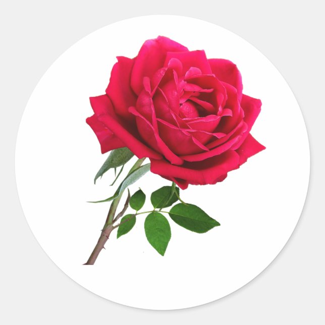 Elegant Red Rose Flower Classic Round Sticker (Front)