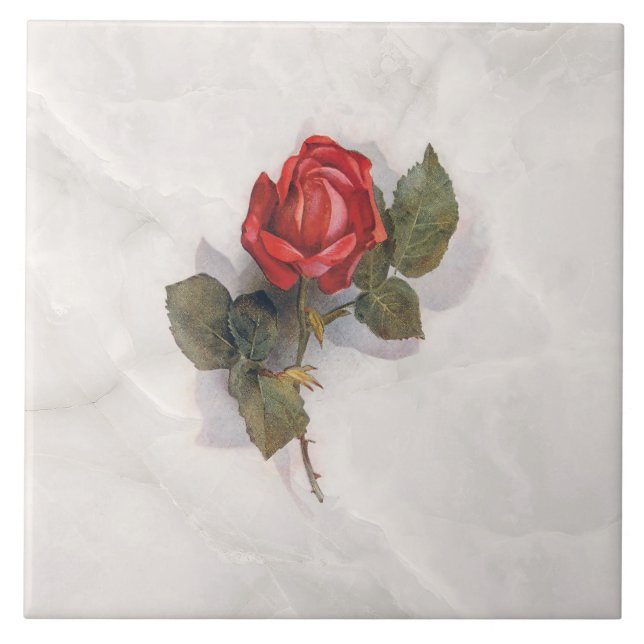 Elegant Red Rose on Grey Marble BG Tile (Front)