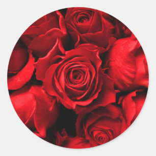Elegant Red Rose Sticker