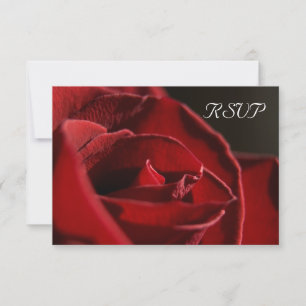 Elegant Red Rose Wedding RSVP Response Card