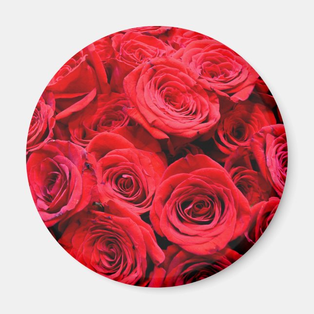 Elegant Red Roses floral flowers Magnet (Front)