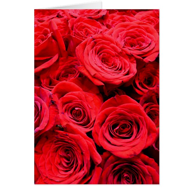 Elegant Red Roses red florals red flowers (Front)
