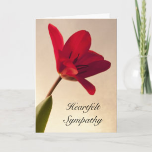 Elegant Red Tulip Sympathy Card