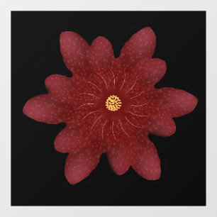 Elegant Red Velvet Flower on Black   Dark Floral A Window Cling