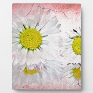 Elegant Romantic Bridal Shower Daisies Wedding Plaque