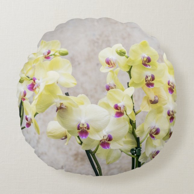 Elegant Romantic Cream & Lilac Orchids Round Pillow (Front)