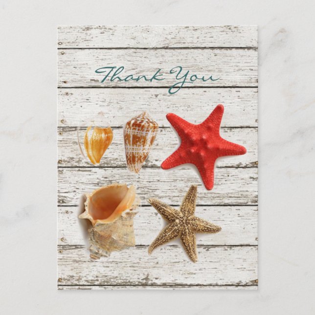 elegant romantic seashells beach wedding thank you postcard (Front)
