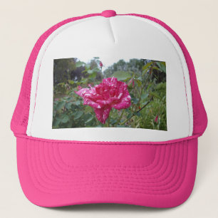 Élégant Rose à rayures rose et blanc, Casquette de