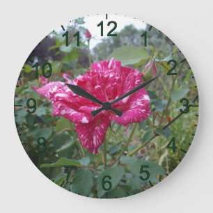 Élégant Rose À Rayures Roses Et Blanches, Horloge 