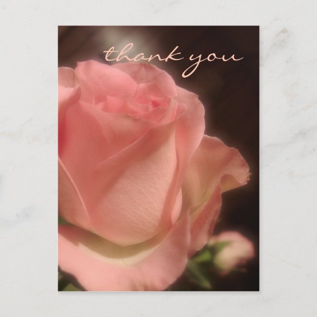 Elégant Rose de pêche - Carte postale Merci (Devant)