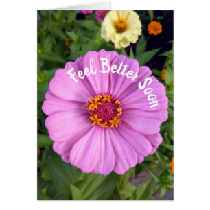 Elégant rose Zinnia Flower Feight Better Card