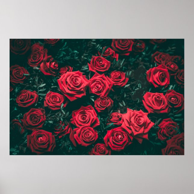 Elegant Roses in Bloom Artwork | Poster (Front)