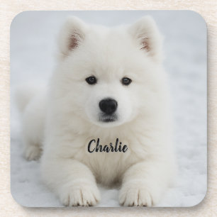 Elegant Samoyed Personalized Beverage Coaster Set