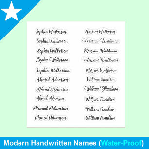 (Elegant Set of 20) Handwritten Transparent Name