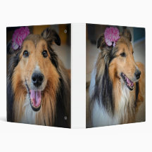 Elegant Sheltie