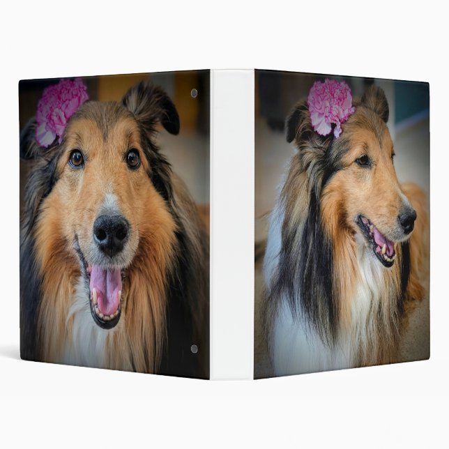 Elegant Sheltie Binder (Background)