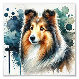 Elegant Shetland Sheepdog Watercolor Art  Photo Print