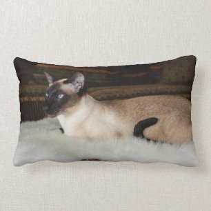 Elegant Siamese Cat Lumbar Pillow