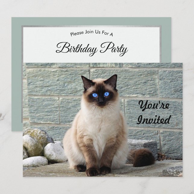 Élégant Siamese Chat Photo Anniversaire Invitation (Devant / Derrière)