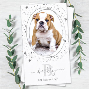 Elegant Silver Stars Photo Social Media Monogram Business Card