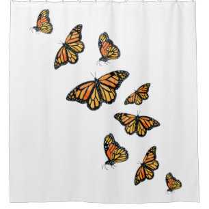 Elegant simple monarch butterfly