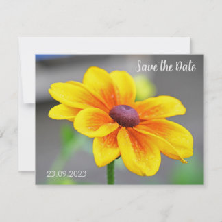 Elegant Single Yellow Orange Dahlia Flower Save Holiday Card