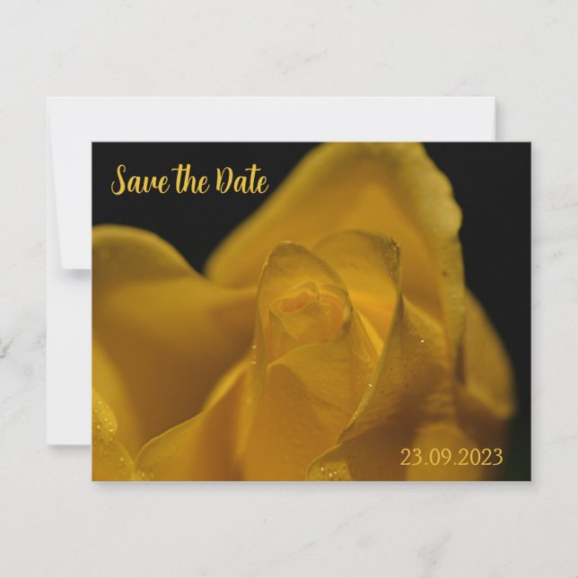 Elegant Single Yellow Rose Close Up Save the Date Holiday Card (Front)