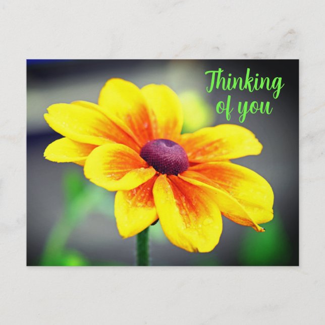 Elegant Single YellowOrange Flower Thinking of You Postcard (Front)