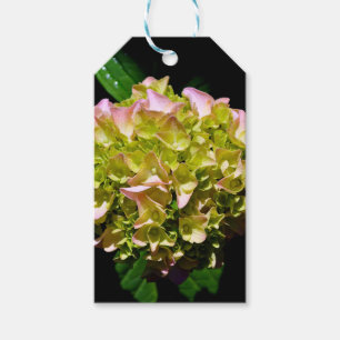 Elegant soft green pink floral hydrangeas gift tags