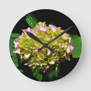 Elegant soft green pink floral hydrangeas round clock