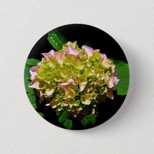 Elegant soft green pink green floral hydrangea 2 inch round button