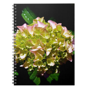 Elegant soft green pink green floral hydrangea notebook