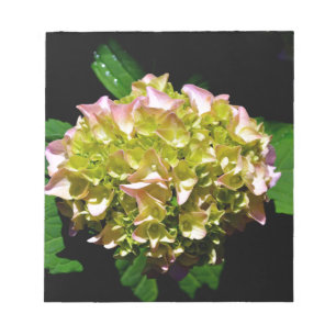 Elegant soft green pink green floral hydrangea notepad