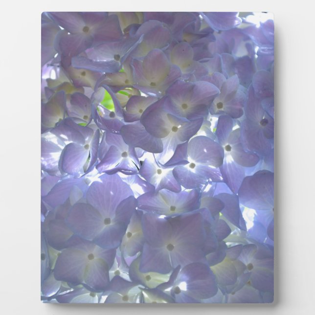 Elegant soft light purple floral purple hydrangeas plaque (Front)