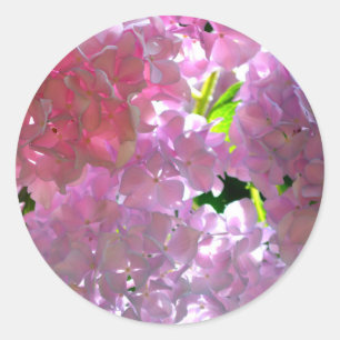 Elegant soft pink florals pink hydrangeas roses classic round sticker