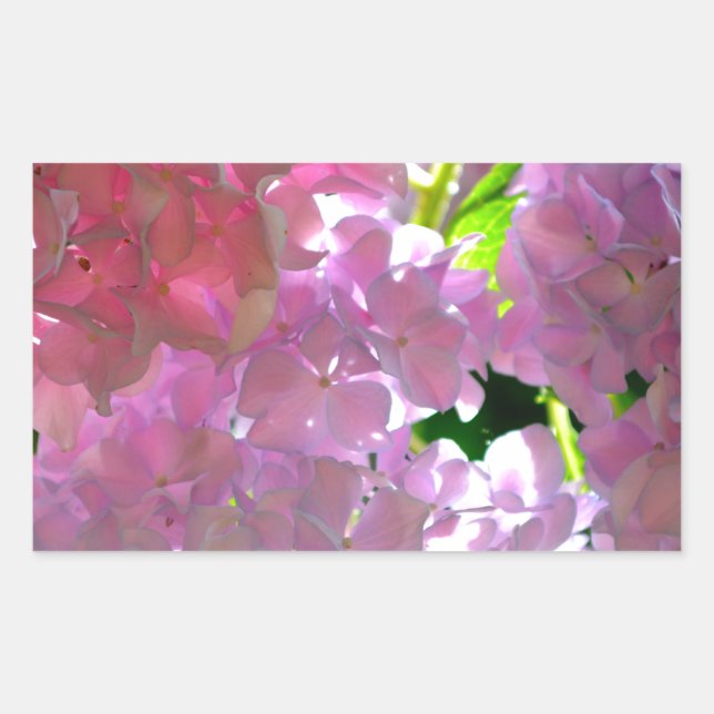 Elegant soft pink florals pink hydrangeas roses sticker (Front)