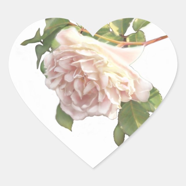 elegant soft pink white rose bud heart sticker (Front)