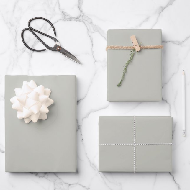 Elegant sophisticated sage Minimalist and chic  Wrapping Paper Sheet (Front)