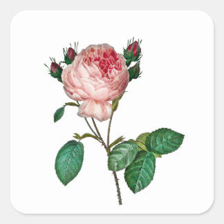 Élégant stickers rose