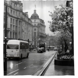 Elegant Street View