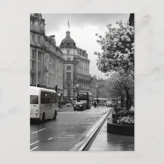 Elegant Street View  Postcard (Front)