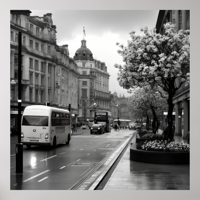 Elegant Street View  Poster (Front)
