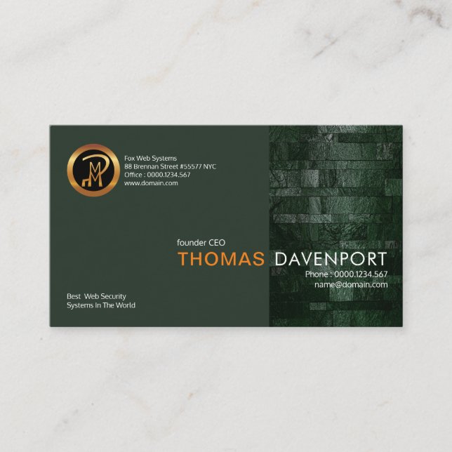 Elegant Structured Silver Wall Column Founder CEO Business Card (Front)