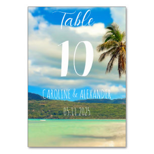 Elegant Summer Blue Coastal Tropical Destination Table Number