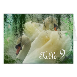 elegant summer lake white swan wedding