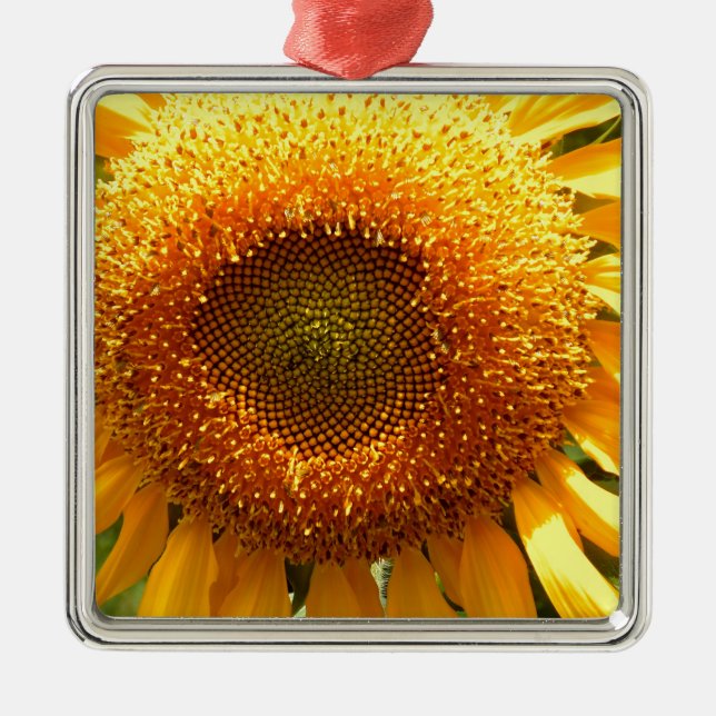 Elegant sunflower photo metal ornament (Front)